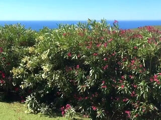 Gwen and Josh have a good time - Jacquie et Michel TV