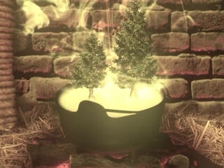 Fetish Girls And Pleasure Two With Paul Chaplin, Emily B And Genie Onyx