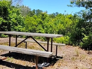 Almost Caught! Older Man Fucks Curvy Milf On Picnic Table