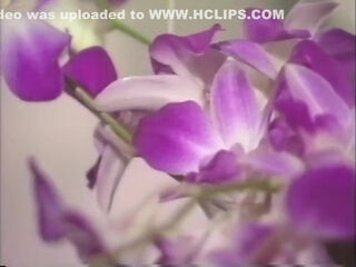 Selena Steele - Red Hait Lesbians Hairy Pussy Licking Sex Toys Penetrated In Pussy