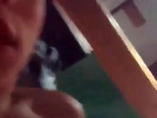 Tempting Shemales Collection